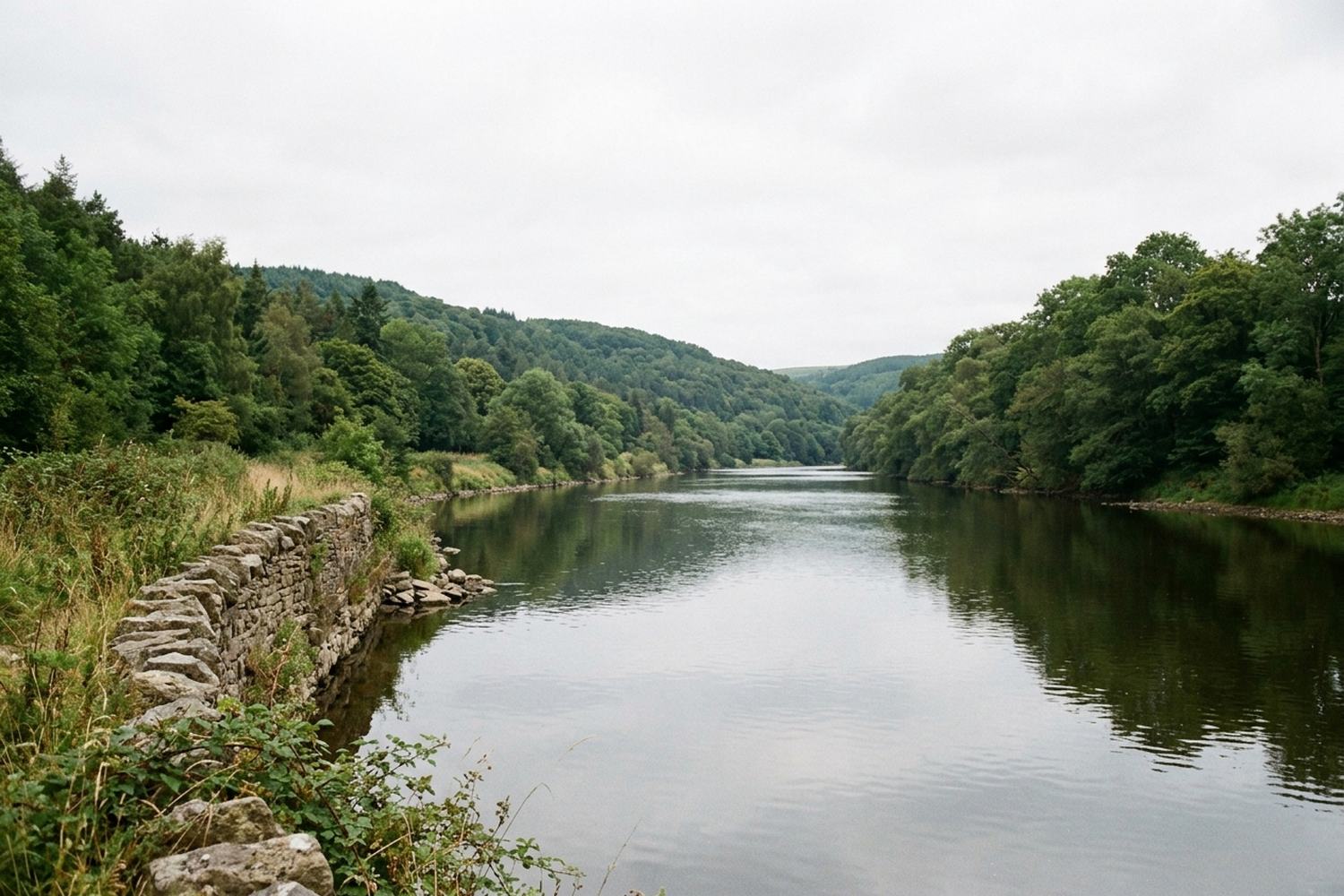 A broad still river between densely wooded banks with a low stone embankment on one side